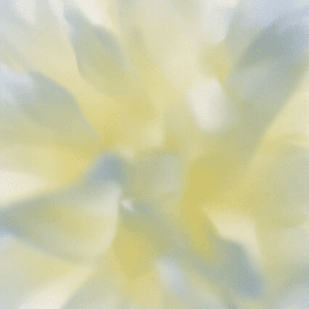 Yummers background